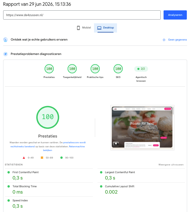 PageSpeed Insights desktop voor de4zussen.nl met score 100