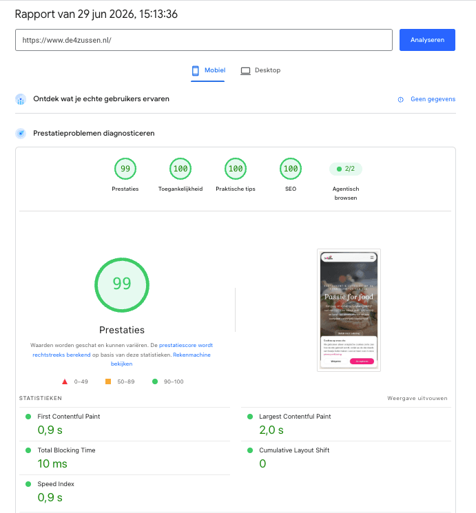 PageSpeed Insights mobiel voor de4zussen.nl met score 99