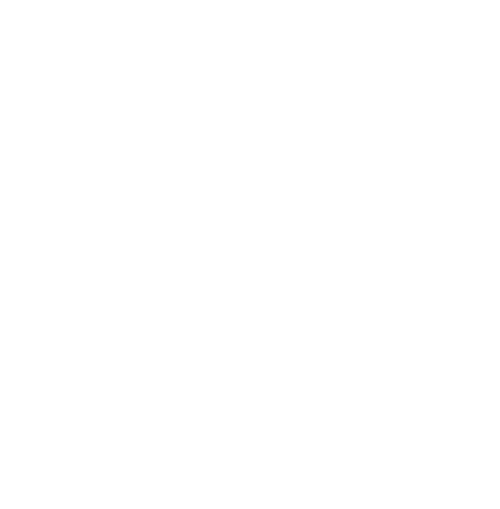 Logo TweedeHandsSkies.nl