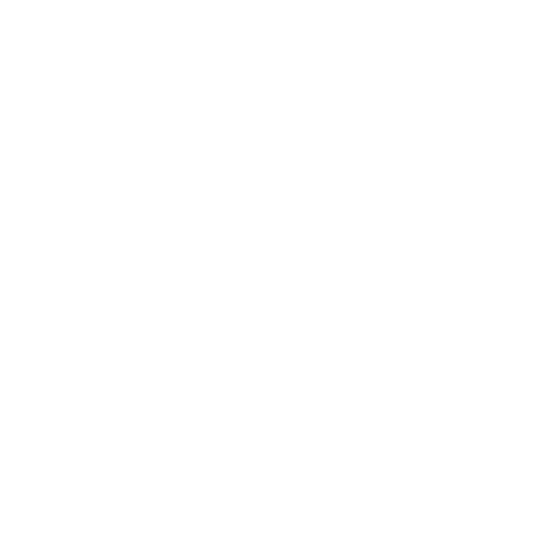 Logo TweedeHandsSkies.nl